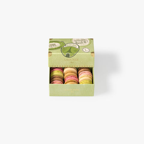 Geschenkbox mit 8 Macarons in 7 ausgewählten Geschmacksrichtungen: Schokolade, Karamell, Kaffee, Vanille, Himbeere, Pistazie und Zitrone. Jetzt verschenken!